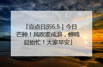 壹点日历6.5｜今日芒种！风吹麦成浪，蝉鸣夏始忙！大家早安