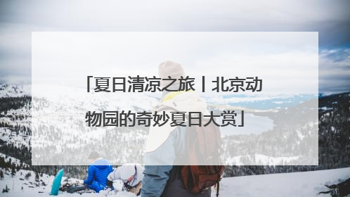夏日清凉之旅丨北京动物园的奇妙夏日大赏