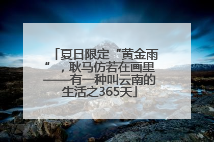 夏日限定“黄金雨”，耿马仿若在画里——有一种叫云南的生活之365天
