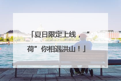 夏日限定上线，“荷”你相遇洪山！