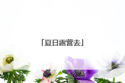 夏日露营去