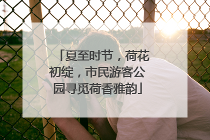 夏至时节，荷花初绽，市民游客公园寻觅荷香雅韵