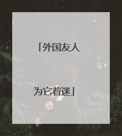 外国友人为它着迷