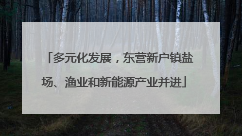 多元化发展，东营新户镇盐场、渔业和新能源产业并进