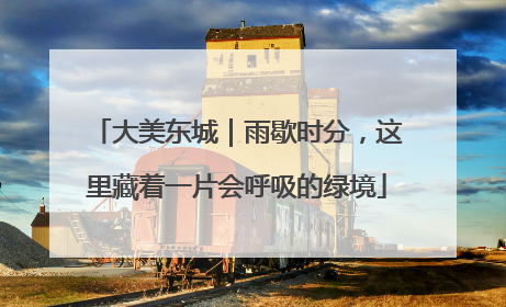 大美东城｜雨歇时分，这里藏着一片会呼吸的绿境