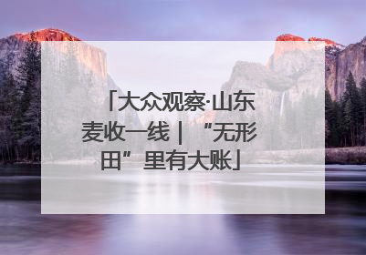 大众观察·山东麦收一线｜“无形田”里有大账