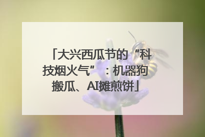 大兴西瓜节的“科技烟火气”：机器狗搬瓜、AI摊煎饼