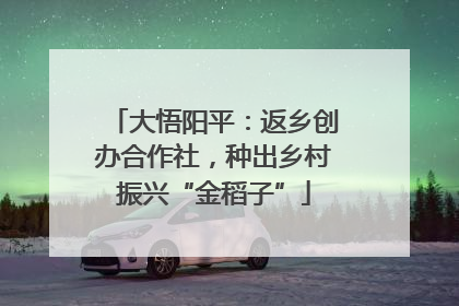 大悟阳平：返乡创办合作社，种出乡村振兴“金稻子”