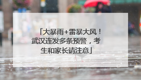 大暴雨+雷暴大风！武汉连发多条预警，考生和家长请注意
