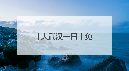 大武汉一日丨免费人少，这个博物馆还能玩AI