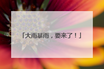 大雨暴雨，要来了！