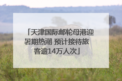 天津国际邮轮母港迎暑期热潮 预计接待旅客逾14万人次