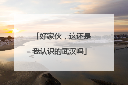 好家伙，这还是我认识的武汉吗