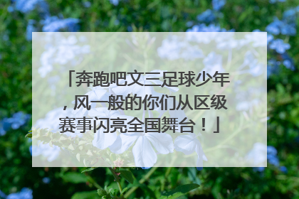 奔跑吧文三足球少年，风一般的你们从区级赛事闪亮全国舞台！