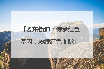 娄东街道：传承红色基因，赓续红色血脉