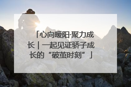 心向暖阳·聚力成长｜一起见证骄子成长的“破茧时刻”