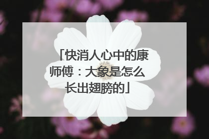 快消人心中的康师傅：大象是怎么长出翅膀的