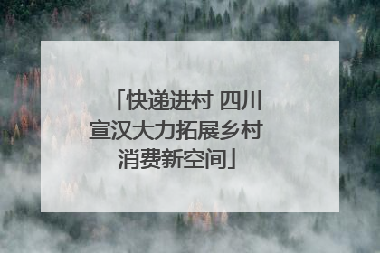 快递进村 四川宣汉大力拓展乡村消费新空间