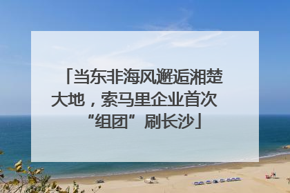 当东非海风邂逅湘楚大地，索马里企业首次“组团”刷长沙