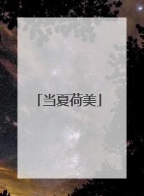 当夏荷美