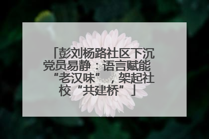 彭刘杨路社区下沉党员易静：语言赋能“老汉味”，架起社校“共建桥”