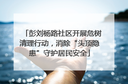 彭刘杨路社区开展危树清理行动，消除“头顶隐患”守护居民安全