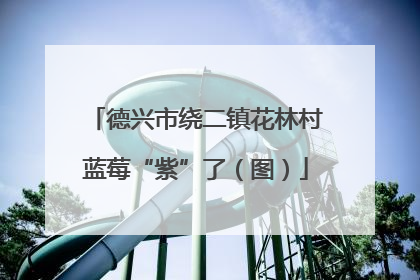 德兴市绕二镇花林村蓝莓“紫”了（图）