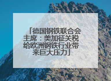 德国钢铁联合会主席：美加征关税给欧洲钢铁行业带来巨大压力