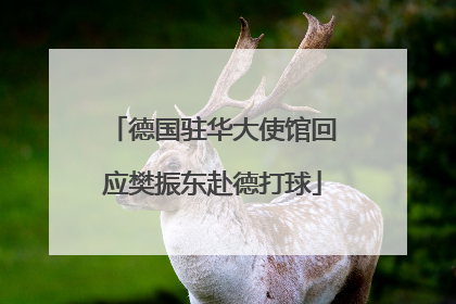 德国驻华大使馆回应樊振东赴德打球