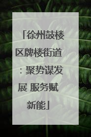 徐州鼓楼区牌楼街道：聚势谋发展 服务赋新能