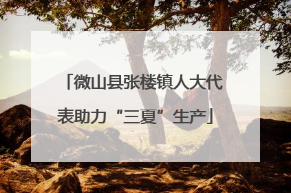 微山县张楼镇人大代表助力“三夏”生产