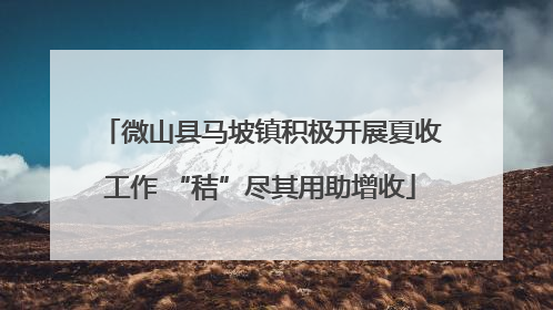 微山县马坡镇积极开展夏收工作 “秸”尽其用助增收