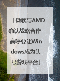微软与AMD确认战略合作 高呼要让Windows成为头号游戏平台