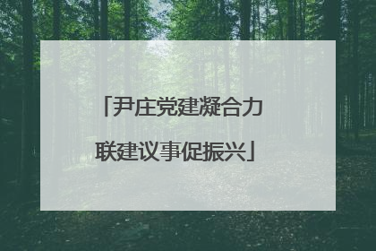尹庄党建凝合力 联建议事促振兴