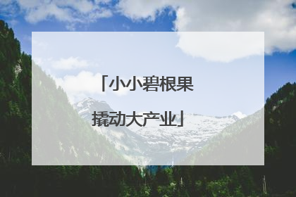 小小碧根果撬动大产业