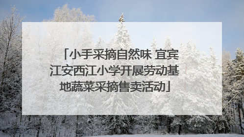 小手采摘自然味 宜宾江安西江小学开展劳动基地蔬菜采摘售卖活动