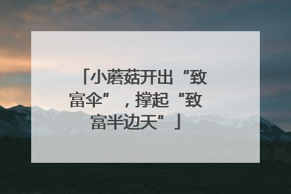 小蘑菇开出“致富伞”，撑起“致富半边天”