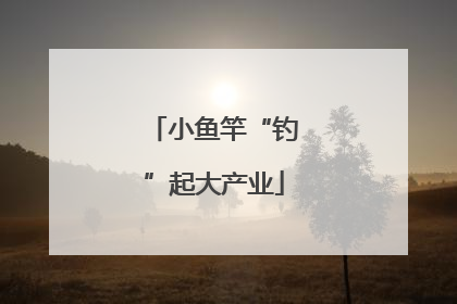 小鱼竿“钓”起大产业
