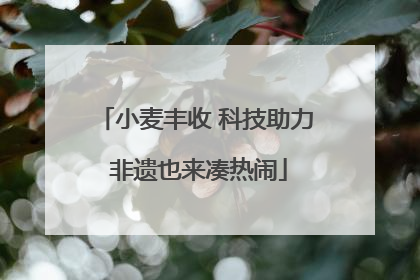小麦丰收 科技助力 非遗也来凑热闹