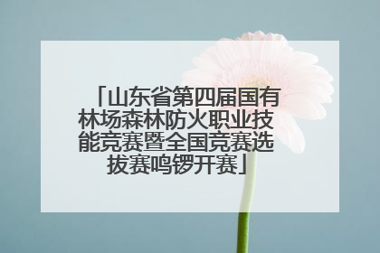 山东省第四届国有林场森林防火职业技能竞赛暨全国竞赛选拔赛鸣锣开赛