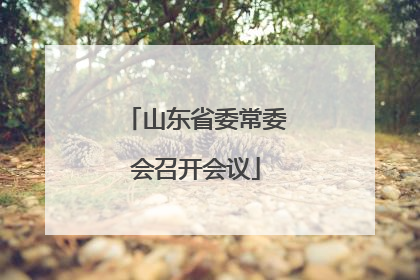 山东省委常委会召开会议