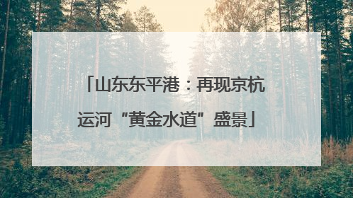 山东东平港：再现京杭运河“黄金水道”盛景