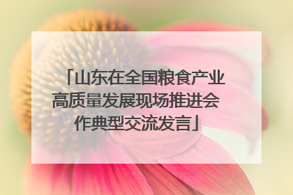 山东在全国粮食产业高质量发展现场推进会作典型交流发言