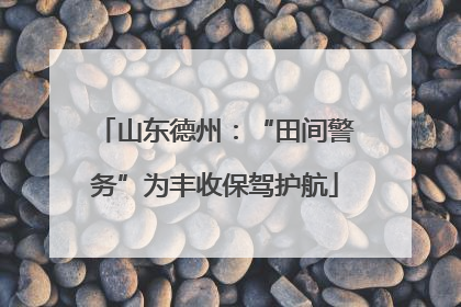 山东德州：“田间警务”为丰收保驾护航