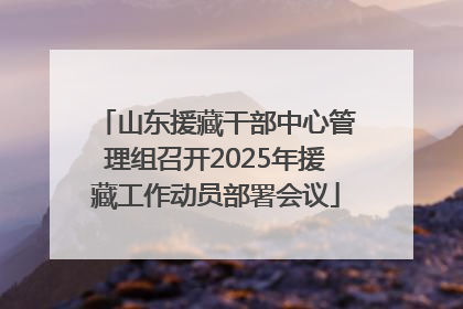 山东援藏干部中心管理组召开2025年援藏工作动员部署会议