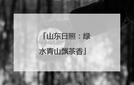 山东日照：绿水青山飘茶香