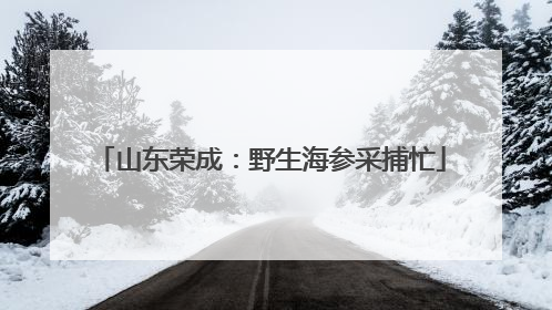 山东荣成：野生海参采捕忙