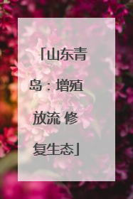 山东青岛：增殖放流 修复生态