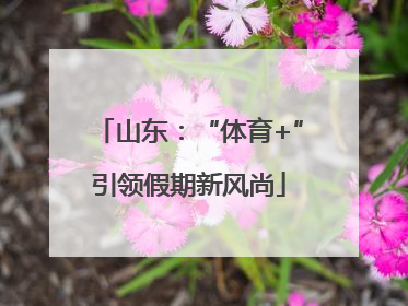 山东：“体育+”引领假期新风尚