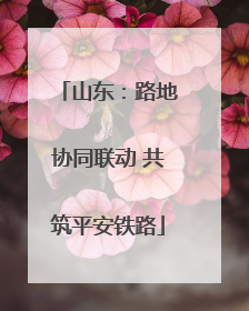 山东：路地协同联动 共筑平安铁路